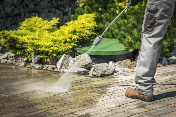 Boat and Dock Cleaning in Haverhill, FL